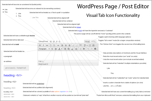 WordPress Infographic – Page and Post Editor – WP Visual Tab