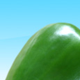 Green Pepper Eco-friendly Living