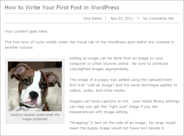 WP 101 - an example of your first WordPress Post