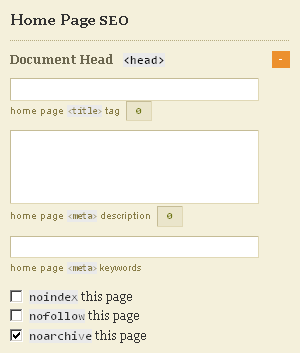 Home Page Default SEO Settings in Thesis