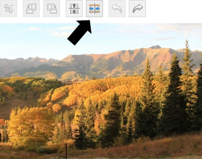 WP image editing view prior to a flipping reflection filter action