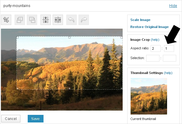 How to Use the Aspect Ratio Section of the Image Editing Tools