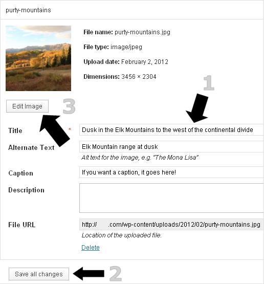 WP Media Upload - Image Editing Interface - Overview