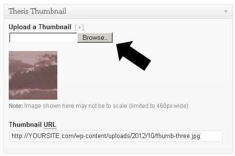 Uploading a Manual Thumbnail Image in Thesis 2.0 Posts