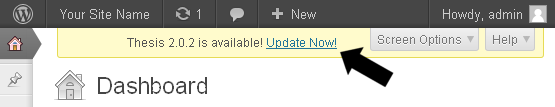Click Update Now to upgrade Thesis to version 2.0.2