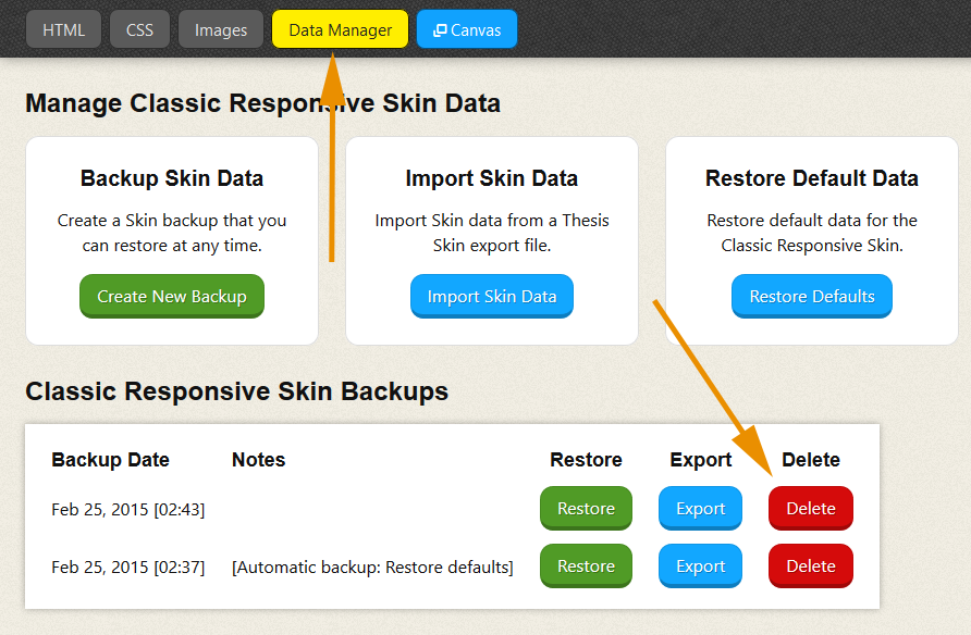 Thesis Skin Data Manager: Delete Backup