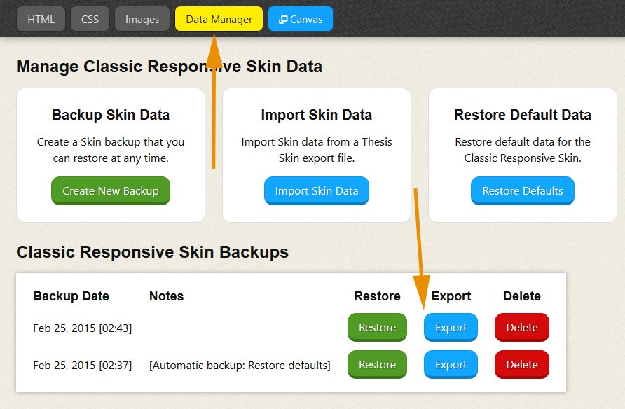 Thesis Skin Data Manager: Export