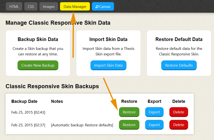 Thesis Skin Data Manager: Restore Backup