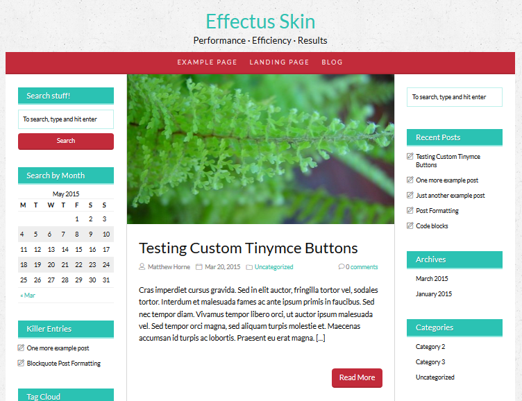 Examples of thesis theme squeeze page