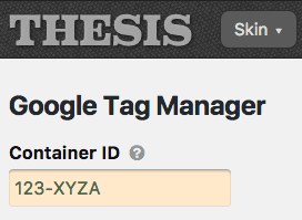 Google Tag Manager options