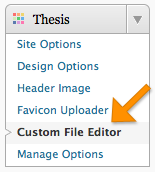 Thesis custom file editor not working