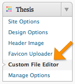 Add search bar to thesis nav menu