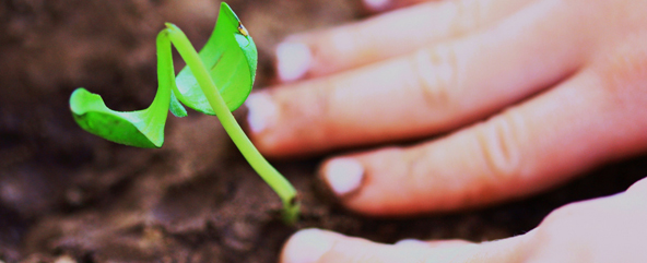 Post image for 7 Ways to Improve Your Website’s Effectiveness