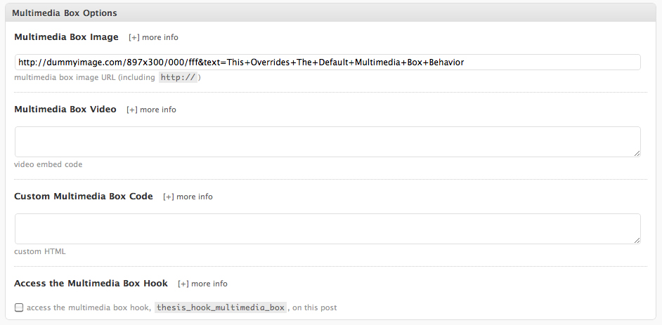 Thesis Post Options - Multimedia Box Image