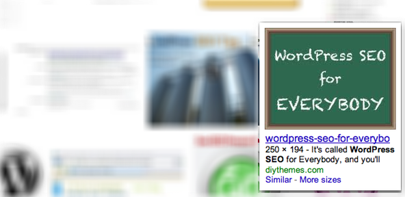 WordPRess SEO Example Search Results