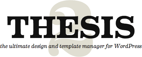 Diythemes thesis designers