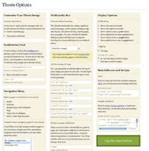 Thesis options panel