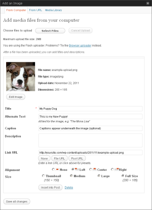 Resized view of Inserting a New Image into a WordPress Post