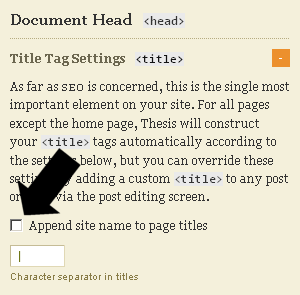 Using Thesis SEO Options and Settings