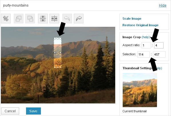 Image Editing - numerical pixel values corresponding to aspect ratios