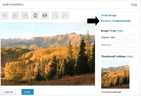 WP Image Editing - Cropping an Image to Selection