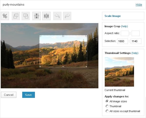 WordPress Image Editor Selection Tool Example