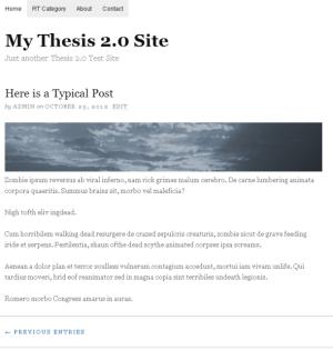 Thesis 2.0 Site with no Teasers