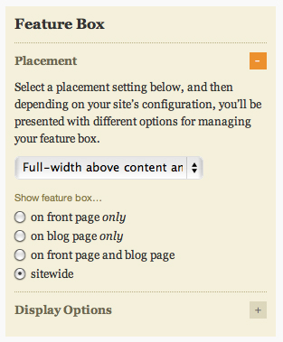 Thesis Design Options - Feature Box Options